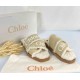 CHLOE Slides