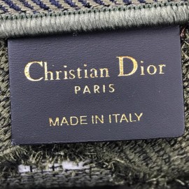 Christian Dior Vertical Book Tote Green Limited