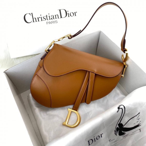 Christian Dior Saddle Calfskin 1