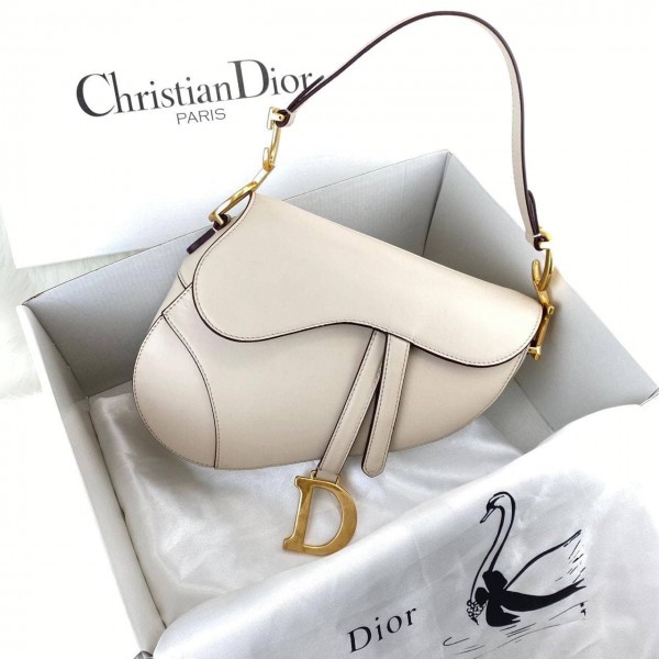 Christian Dior Saddle Calfskin 2