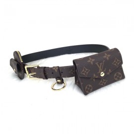 Louis vuitton daily multi pochet