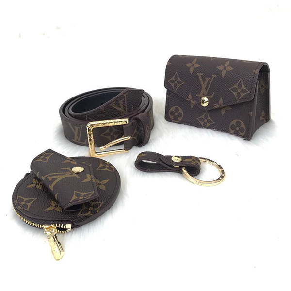 Louis vuitton daily multi pochet