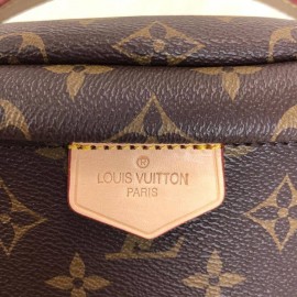 Louis Vuitton Bumbag 1